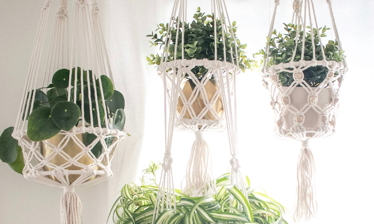 photo of beautiful handmade plant hangers holding lush plants in light-filled room