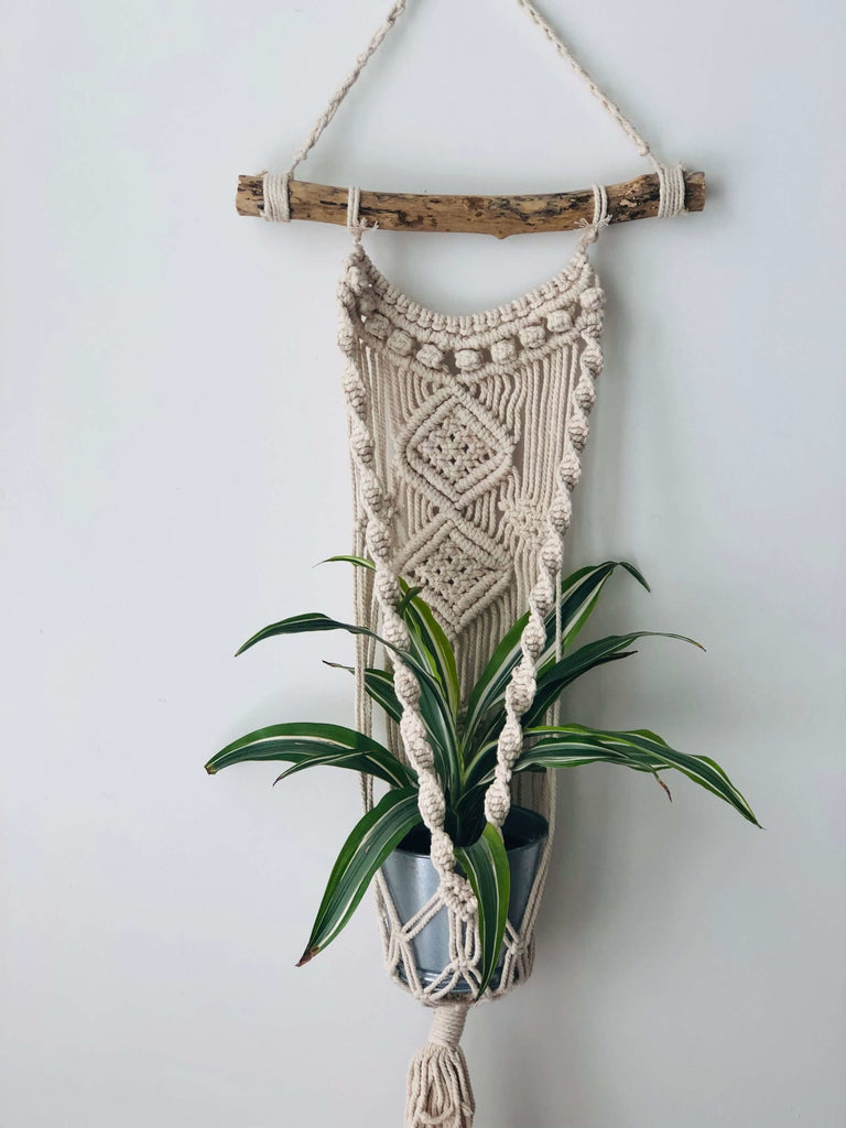 handmade macrame plant hanger with driftwood on white wall with a beautiful green plant