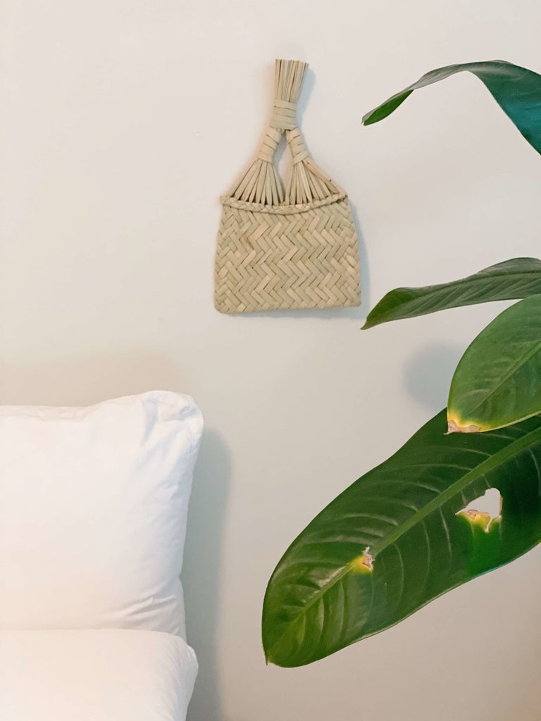 handmade medium fan hung on wall next to tall green plant in minimalist home