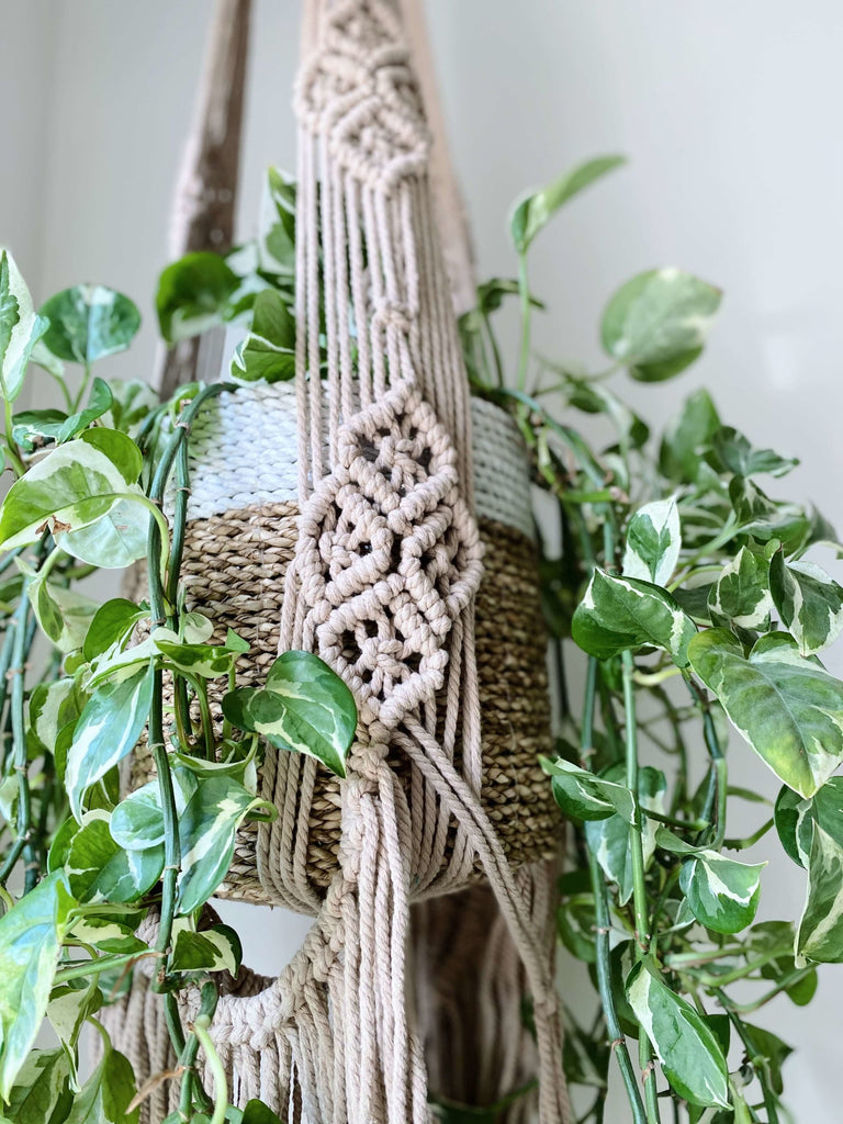 closeup of detail on taupe handmade macrame plant hanger with luscious pothos plant in woven pot