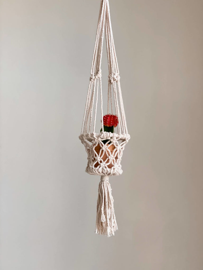 handmade mini cream plant hanger holding miniature cacti plant
