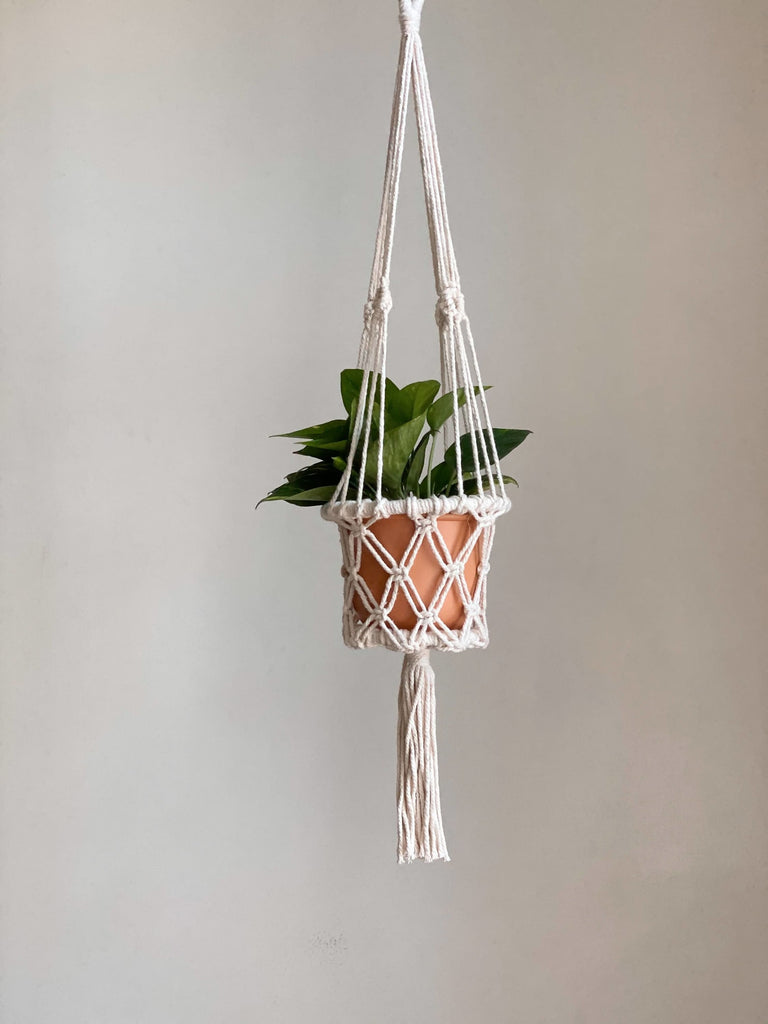 small handmade macrame plant hanger holding small terracotta plant