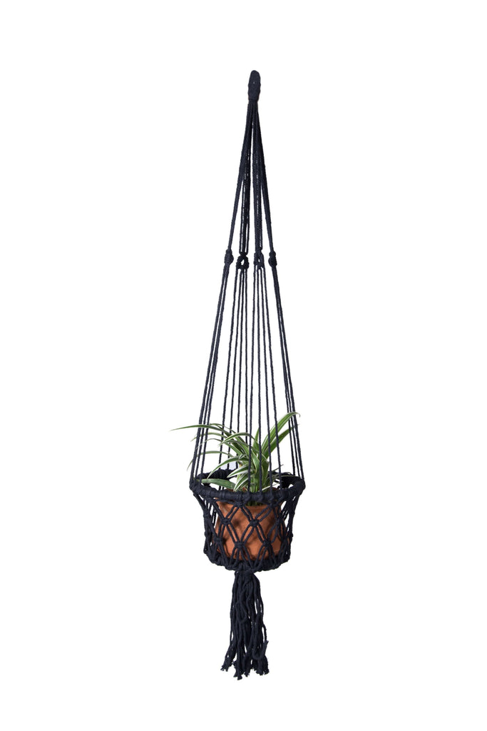 stock photo of small black macrame plant hanger basket with small spider plant in terracotta pot