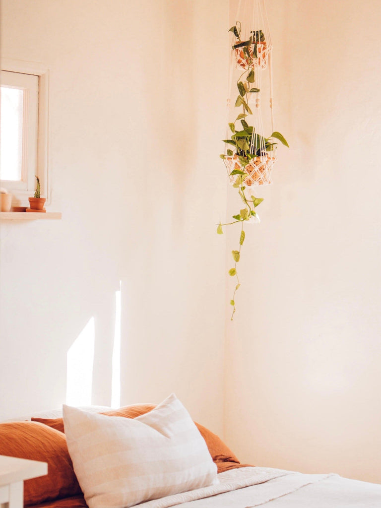 double pot macrame plant hanger holding pothos plants on top of a bed in a bohemian bedroom during sunset