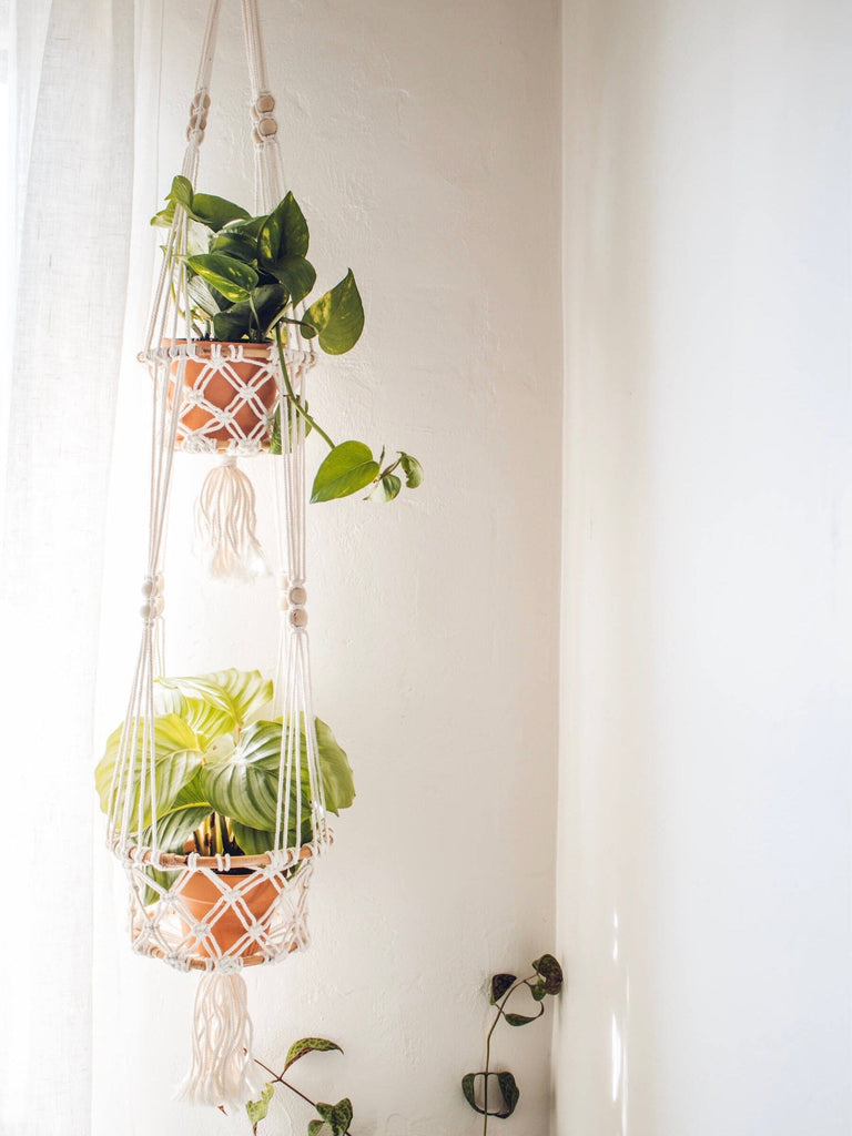 double macrame pot plant hanger holding two luscious plants in the corner of a light filled room