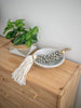 decorative shell tassel in ceramic bowl next to plant in woven basket