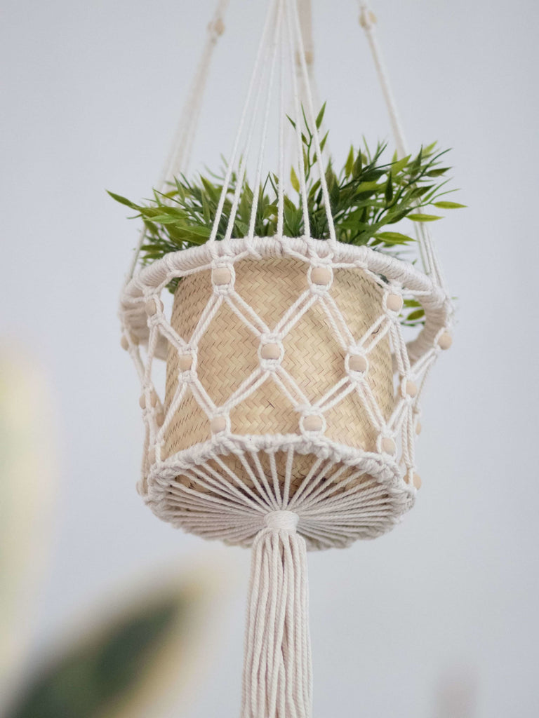 close up of handmade beaded macrame plant hanger with a beautiful plant in woven pot