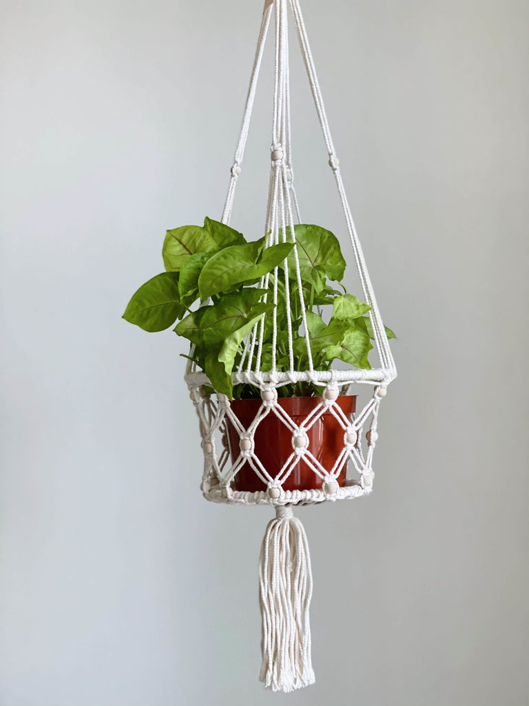handmade plant hanger basket with beads hanging next to a white wall with a stunning plant in red pot