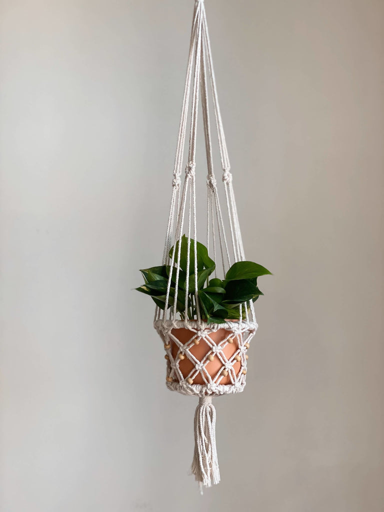 small handmade beaded macrame plant hanger holding a 4" terracotta pot and plant