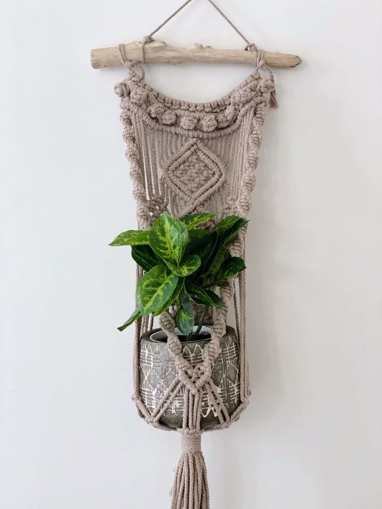 rustic handmade macrame wall hanger holding plant in a farmhouse ceramic pot against a white wall