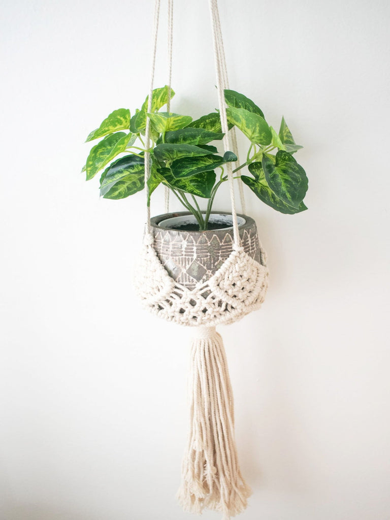 white macrame plant hanger with plant in a rustic ceramic pot on a white wall