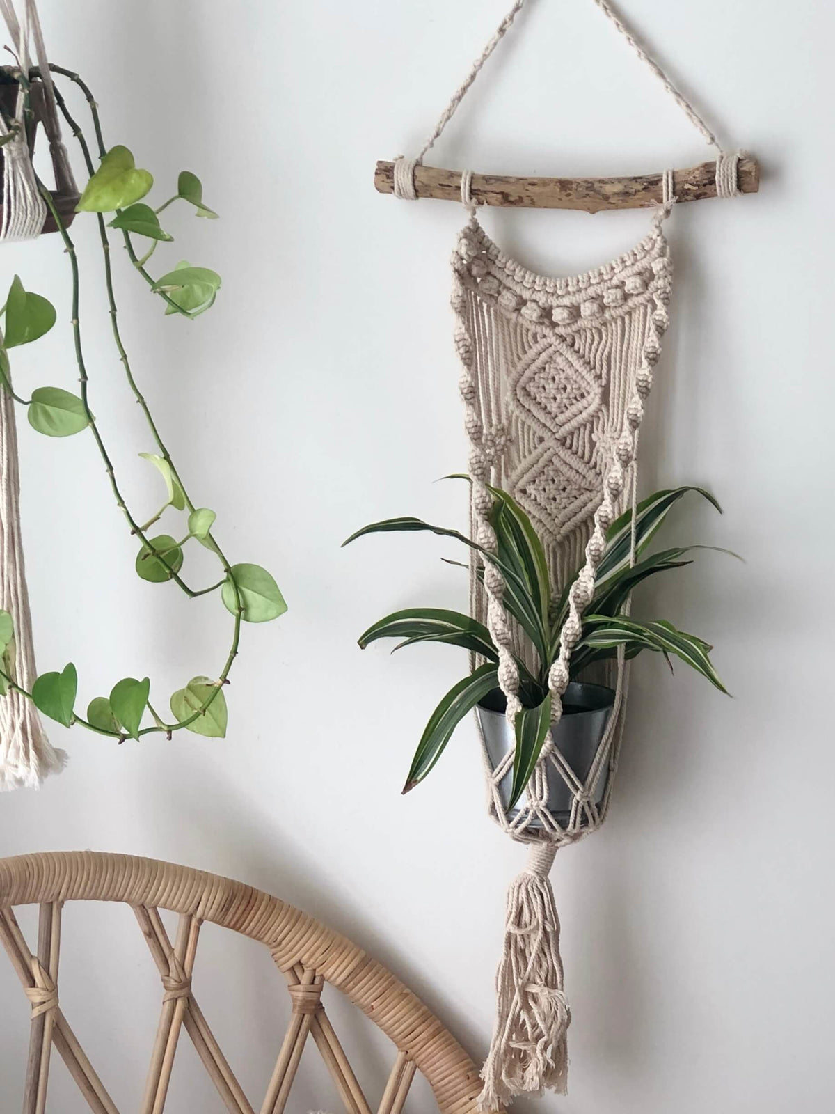 macrame wall hanging for plants CEREMONIA