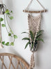 handmade macrame plant hanger holding beautiful plant hanging on white wall with pothos plant and rattan chair