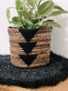 handwoven banana leaf plant basket pot with beautiful pothos plant on top of a black handmade fringe coaster