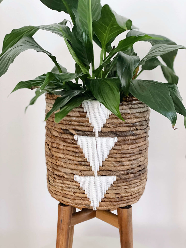 medium handwoven banana leaf plant basket pot holding beautiful green plant on top of stool