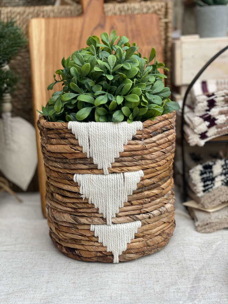 small handwoven banana leaf plant basket pot with beautiful green plant next to other boho decor