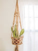 brown beaded jute plant hanger basket holds a small snake plant in a light filled room 