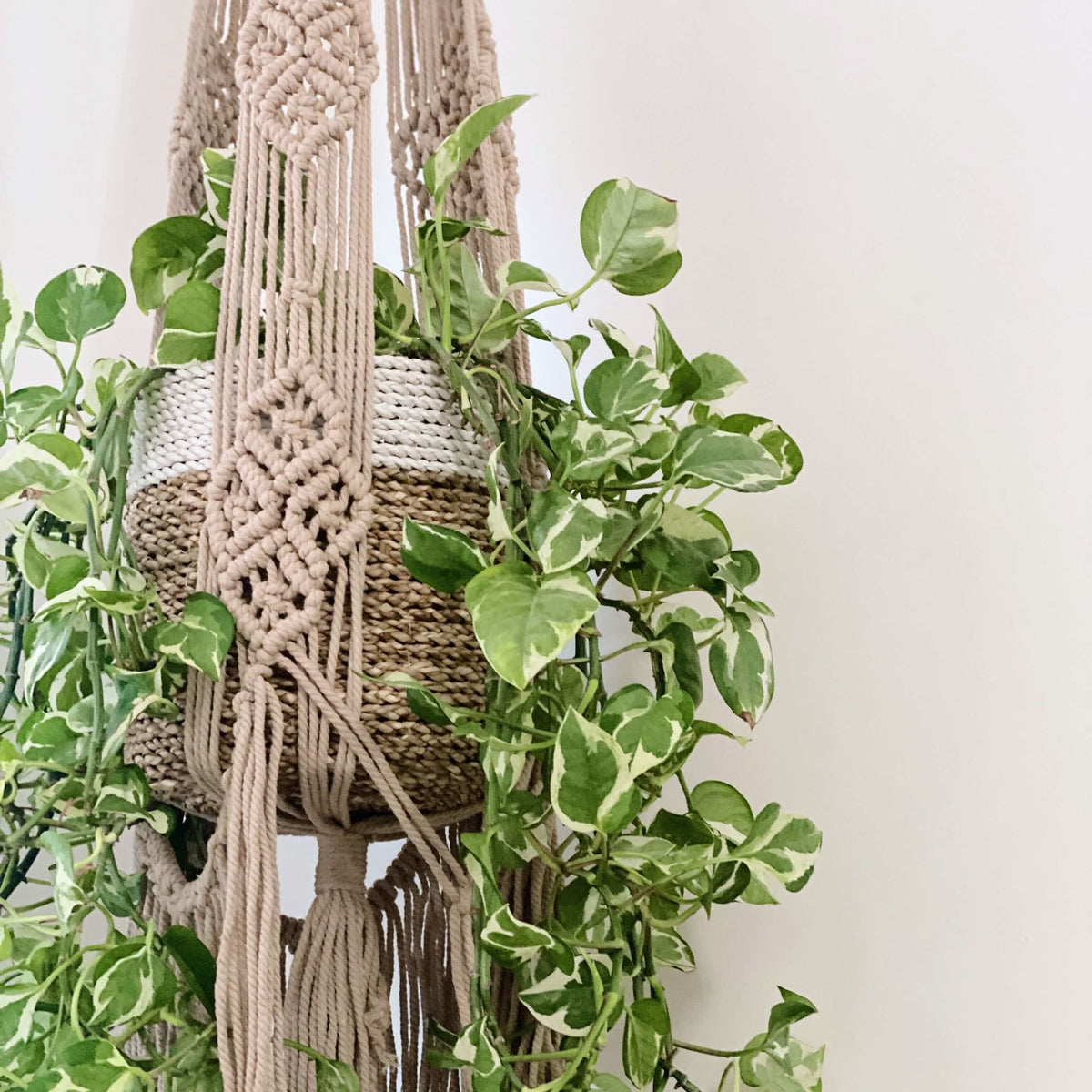 timeyard macrame plant hanger CEREMONIA - macramé plant hanger