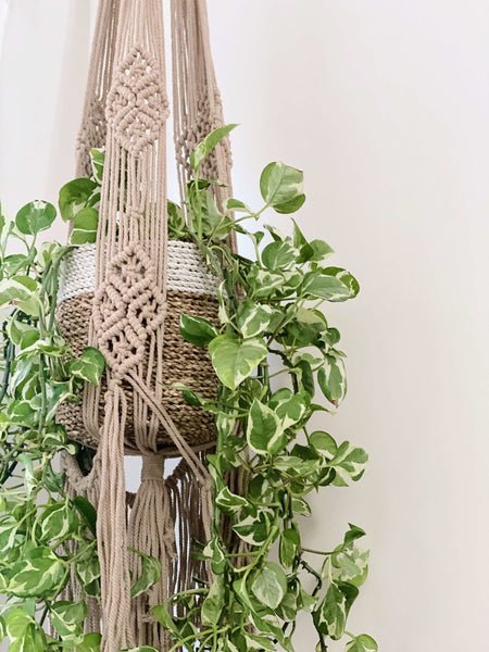 large bohemian macrame plant hanger with fringe and a beautiful pothos plant in a woven pot