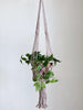 small brown macrame handmade plant hanger basket holding lush green plant