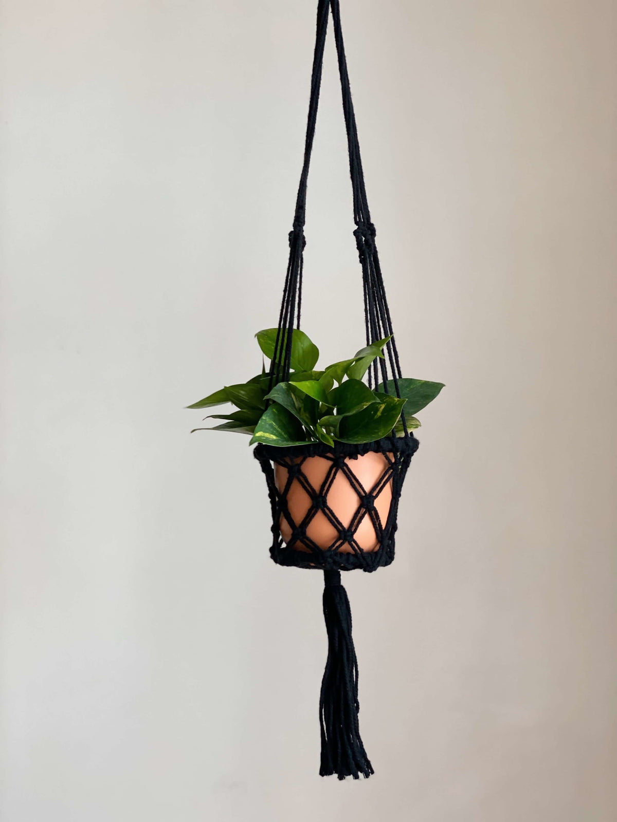 plant hanger black CEREMONIA - plant hanger basket small