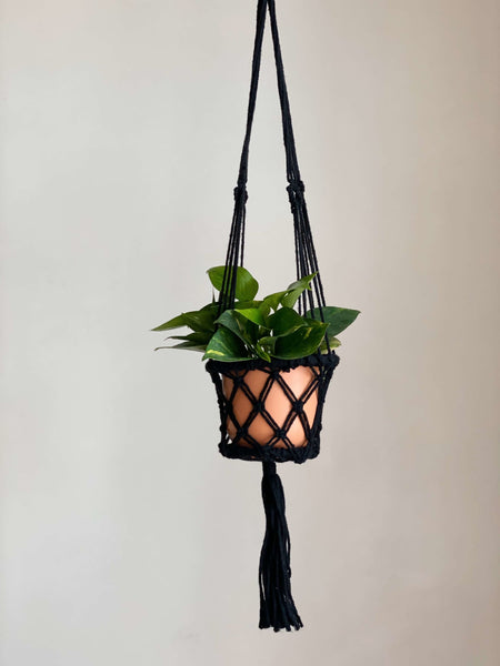 small black macrame plant hanger with plant in terracotta pot