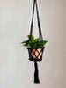 small black macrame plant hanger with plant in terracotta pot