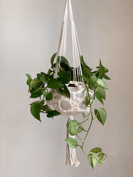 unique medium macrame plant hanger with small pothos plant hanging in white room