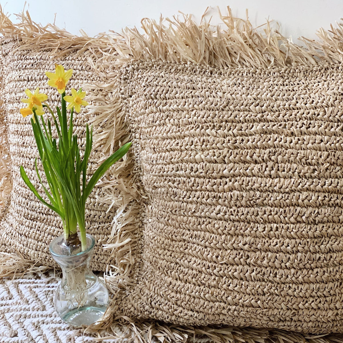 Fringe pillow sale cover