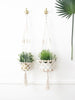 set of macrame plant hangers with rattan rings holding beautiful plants against a white wall