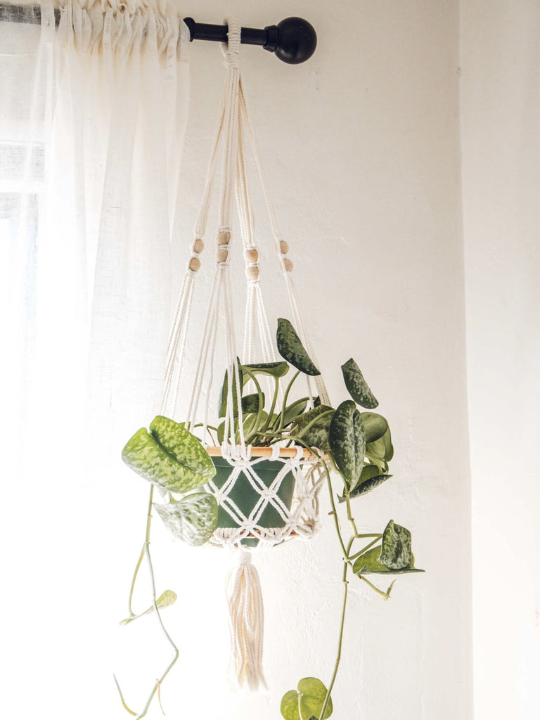 rattan ring base macrame plant hanger holding beautiful pothos plant in a contemporary white room corner