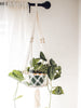 rattan ring base macrame plant hanger holding beautiful pothos plant in a light filled room