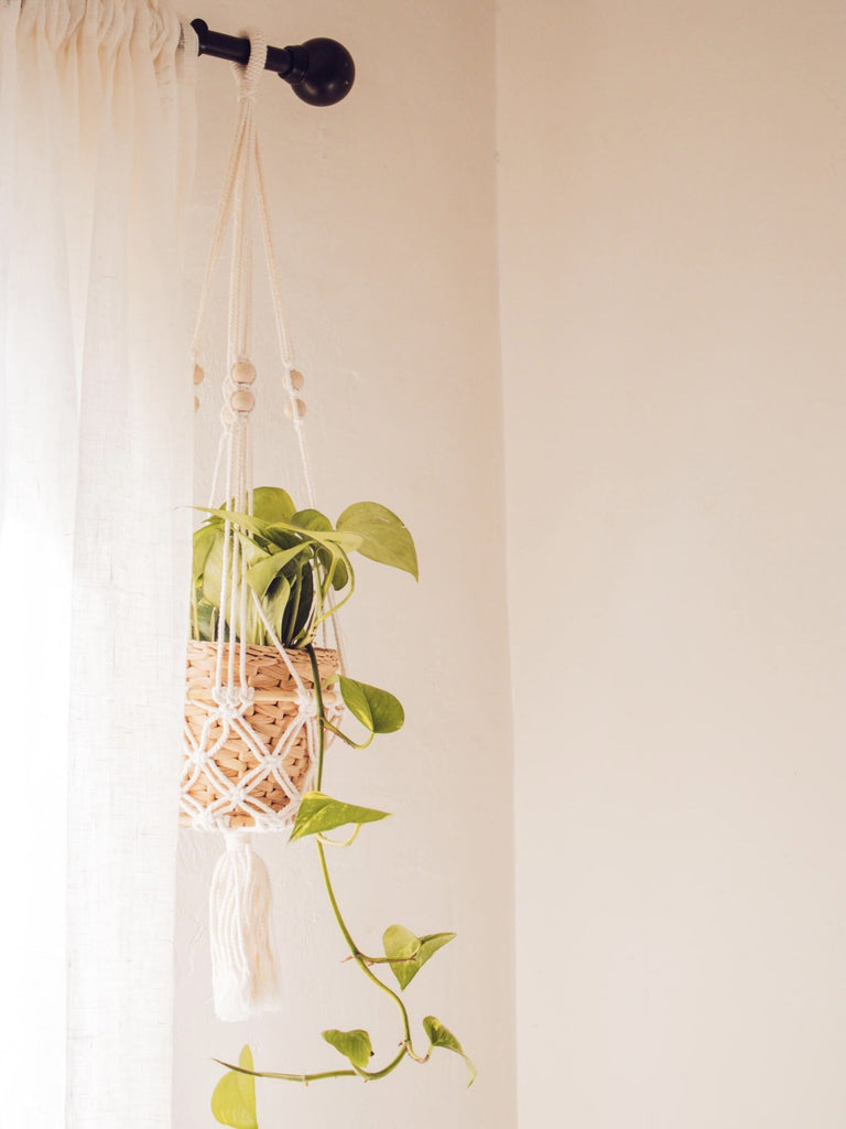 rattan ring macrame plant hanger on a curtain rod holding pothos plant in a woven pot