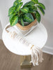 shell disc stack tassel accent around beaded bamboo woven basket holding calathea plant on white stool