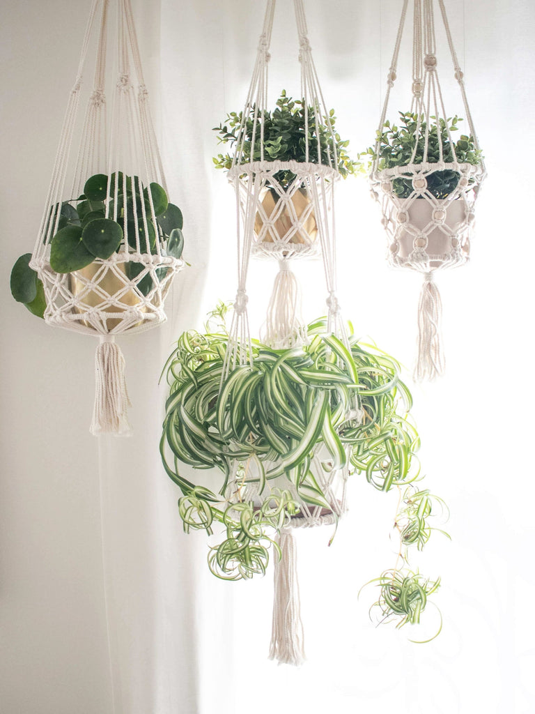 four elegant beaded macrame plant hangers with luscious green plants in a beautiful light filled room
