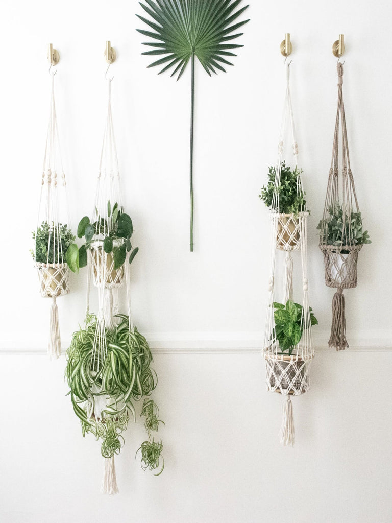 set of four bohemian macrame plant hangers with stunning green plants hanging on gold hooks