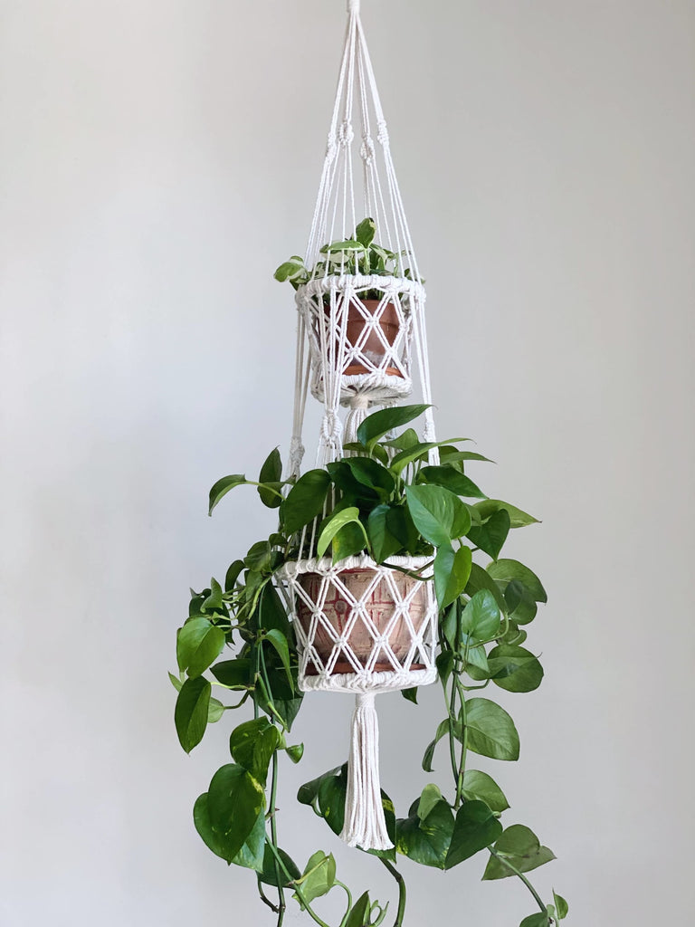 two tier white macrame plant hanger with luscious pothos plant and baby pothos plant in white room