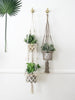 cream macrame double plant hanger and single brown macrame plant hanger holding beautiful plants on a white wall