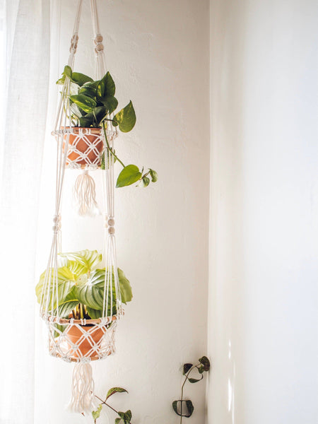double macrame pot plant hanger holding two luscious plants in the corner of a light filled room