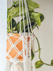 close up of the top of the double macrame plant hanger basket holding pothos plant in a terracotta pot