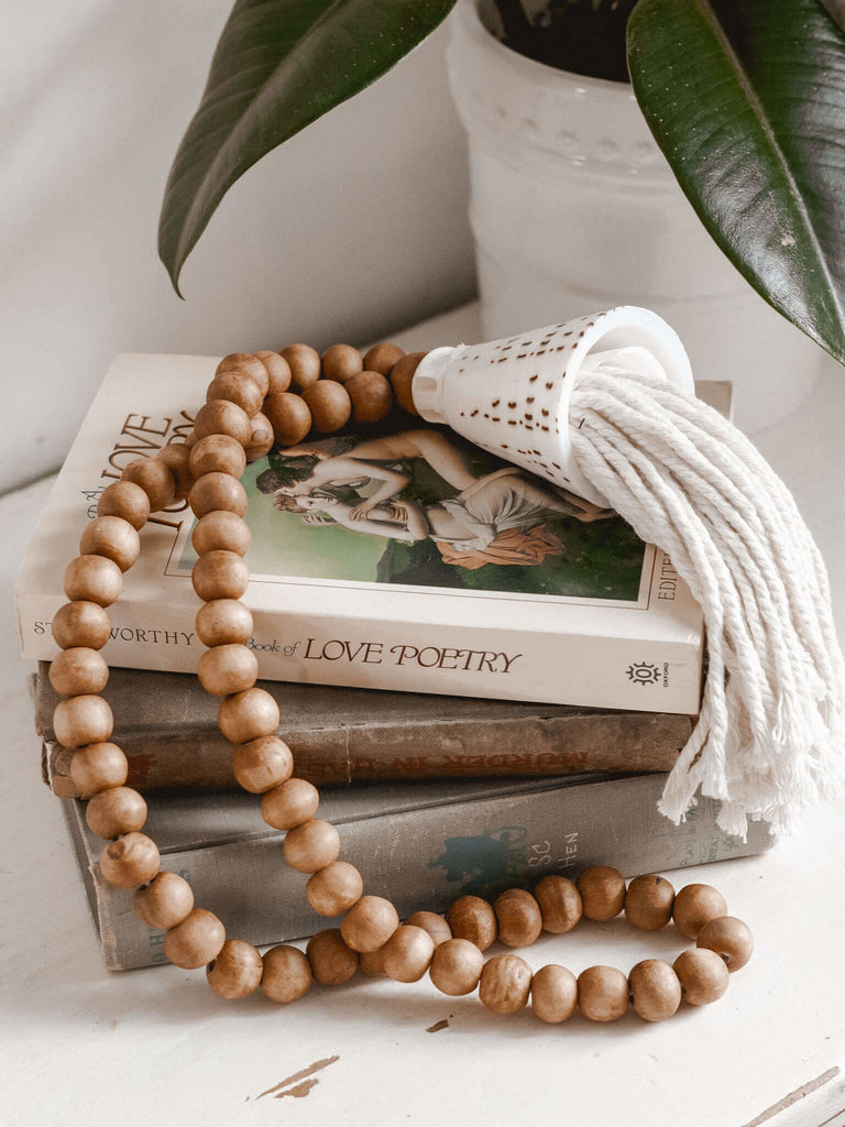 handcarved boho brown beaded conus shell tassel on top of classic stacked books on table next to green plant
